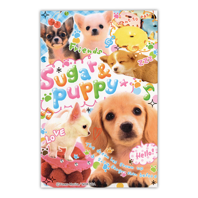 �T���l�C��3