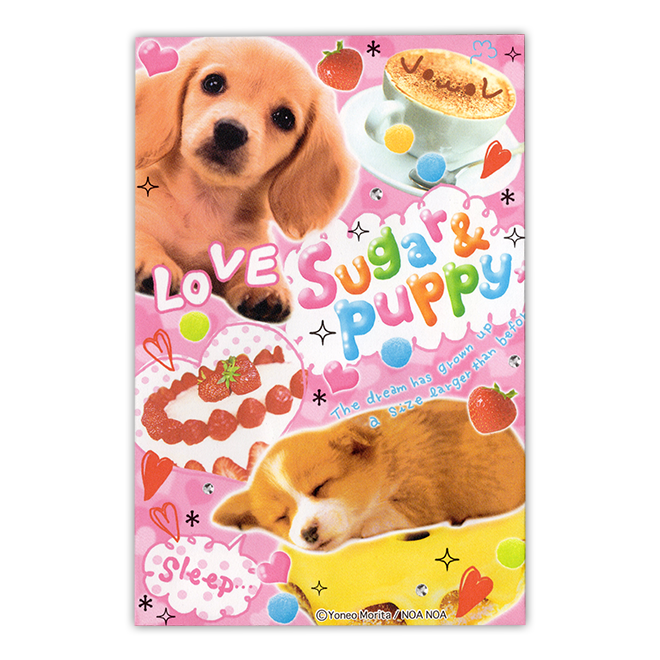 �T���l�C��3